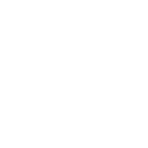 plagas de palomas