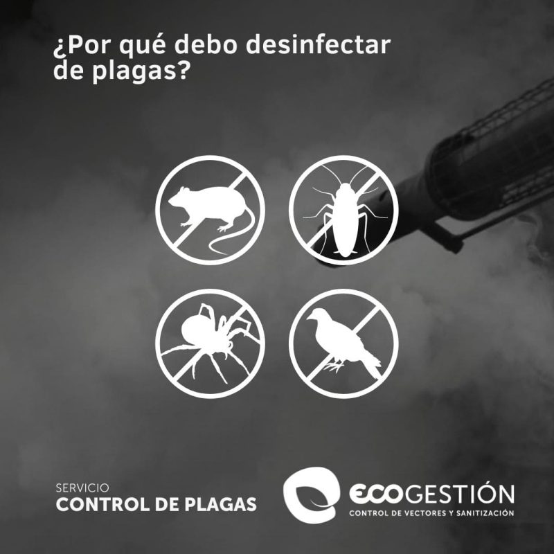 Desinfección de plagas