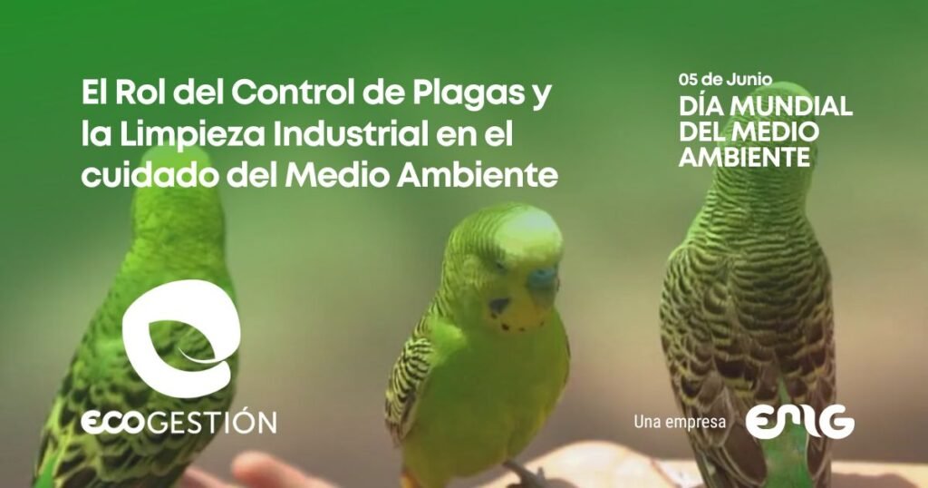 Servicio de control de plagas