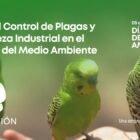 Servicio de control de plagas