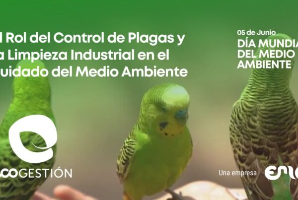 Servicio de control de plagas