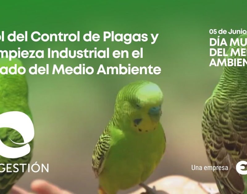 Servicio de control de plagas