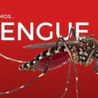 Dengue, Dengue en Chile, dengue peligro, denge