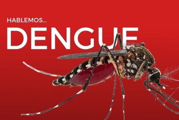 Dengue, Dengue en Chile, dengue peligro, denge