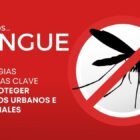 mosquito dengue chile, dengue en chile 2024, casos dengue en chile, dengue zancudo, dengue prevención