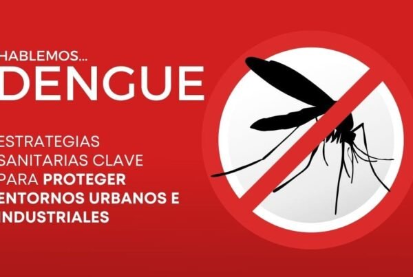 mosquito dengue chile, dengue en chile 2024, casos dengue en chile, dengue zancudo, dengue prevención