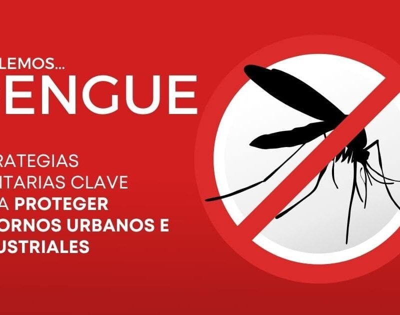 mosquito dengue chile, dengue en chile 2024, casos dengue en chile, dengue zancudo, dengue prevención