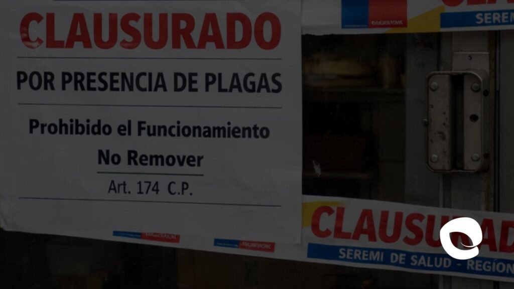 Control de plagas, Control plagas ratones, Plagas de ratones, Servicio de desratizacion, Control de ratones