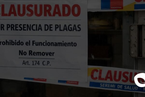 Control de plagas, Control plagas ratones, Plagas de ratones, Servicio de desratizacion, Control de ratones