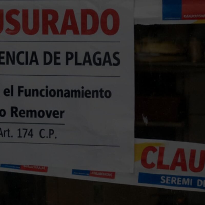 Control de plagas, Control plagas ratones, Plagas de ratones, Servicio de desratizacion, Control de ratones
