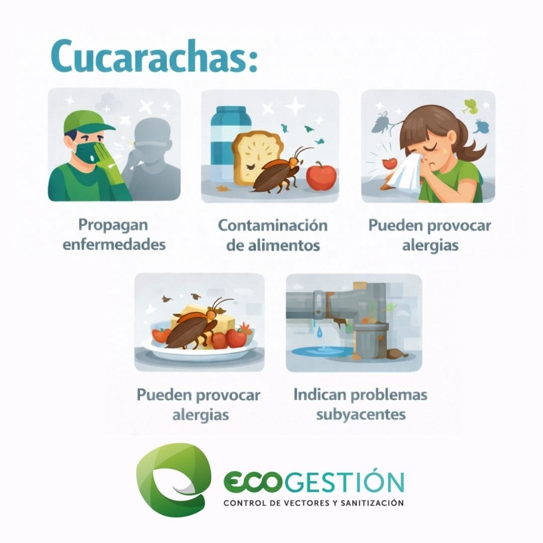 Cucarachas, Fumigación de cucarachas, Eliminar cucarachas, Tipos de cucarachas, Control de plagas cucarachas